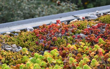 the cost of Scott Willoughby green roof installation