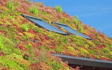Scott Willoughby living roof systems